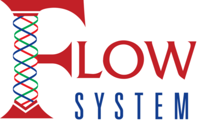 The Flow System
